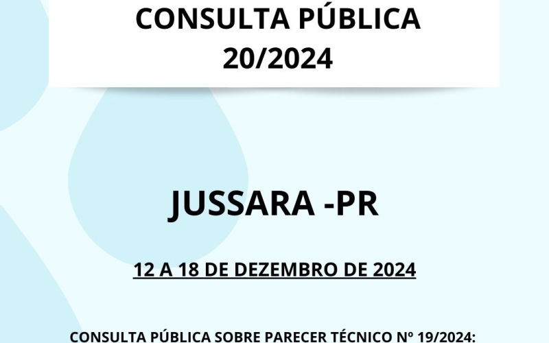 CONSULTA PÚBLICA